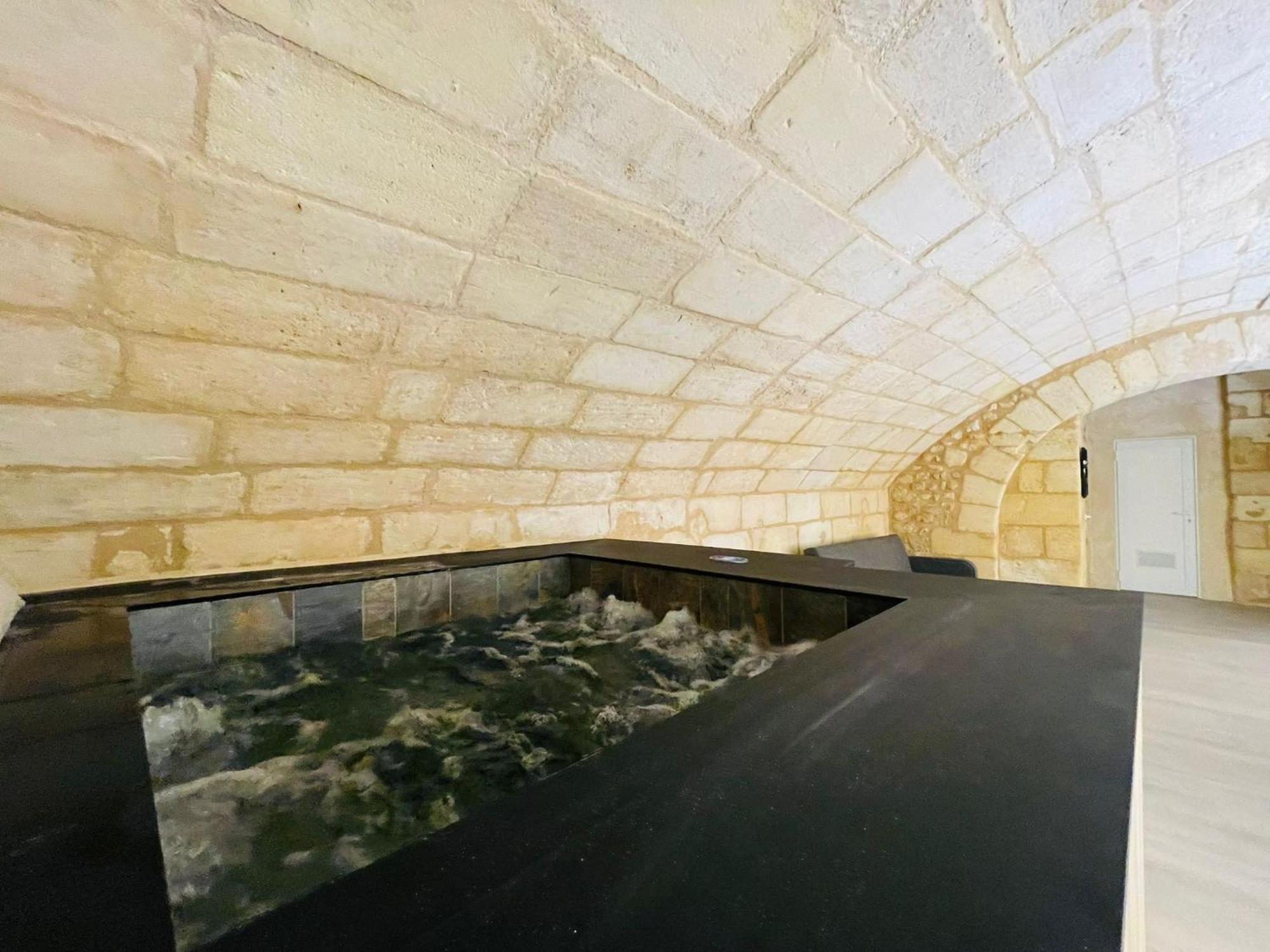Loft Bordelais Apartment Bordeaux Luaran gambar